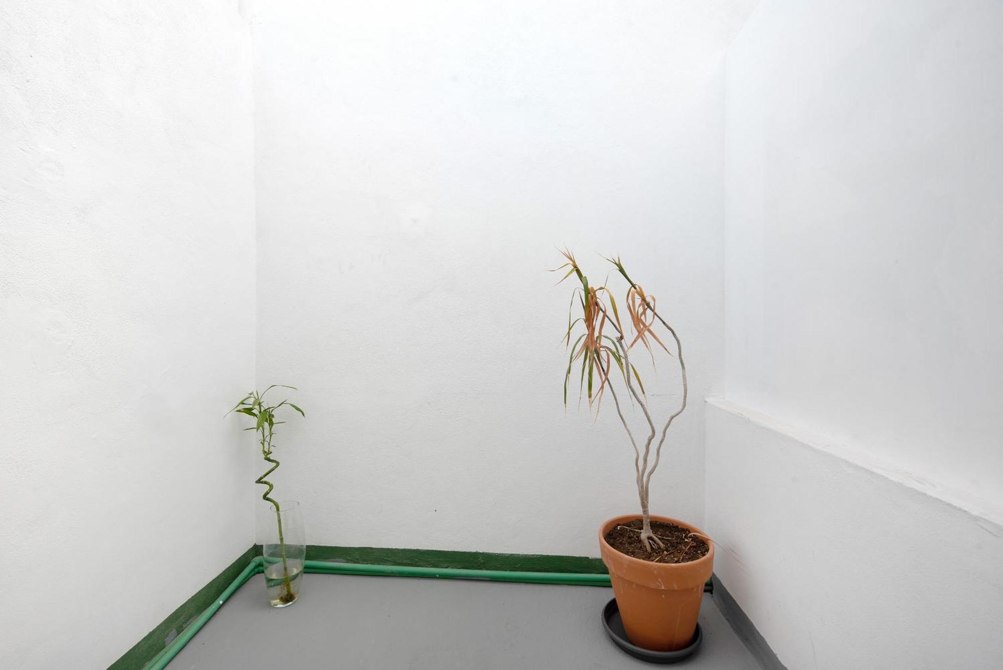 Apartamento Vista 拉奥罗塔瓦 外观 照片
